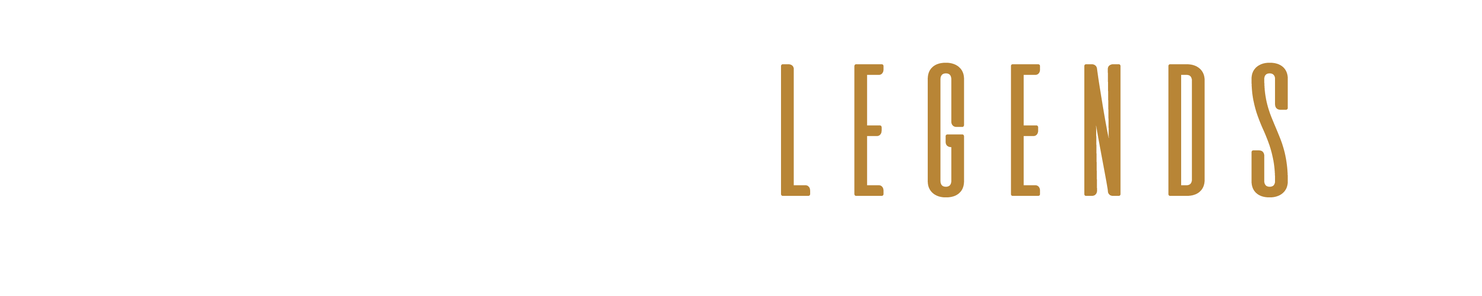 light logo